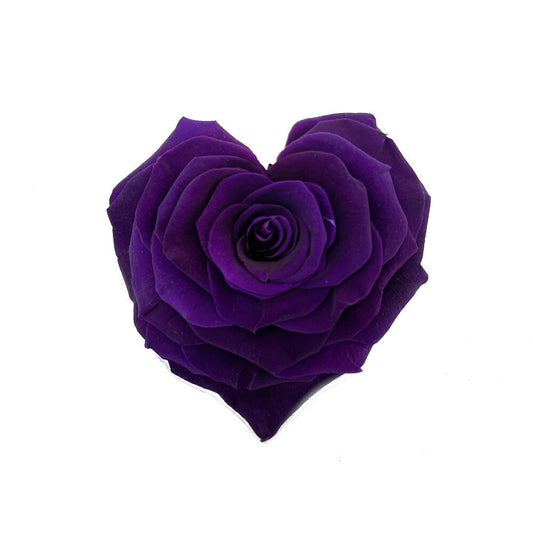 Corazon Lila Oscuro 12cm Preservado_0