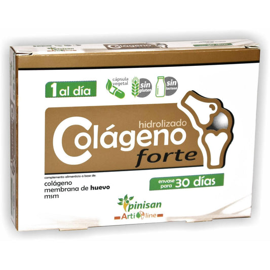 Colagénio Hidrolisado Forte 30 Cápsulas Pinisan