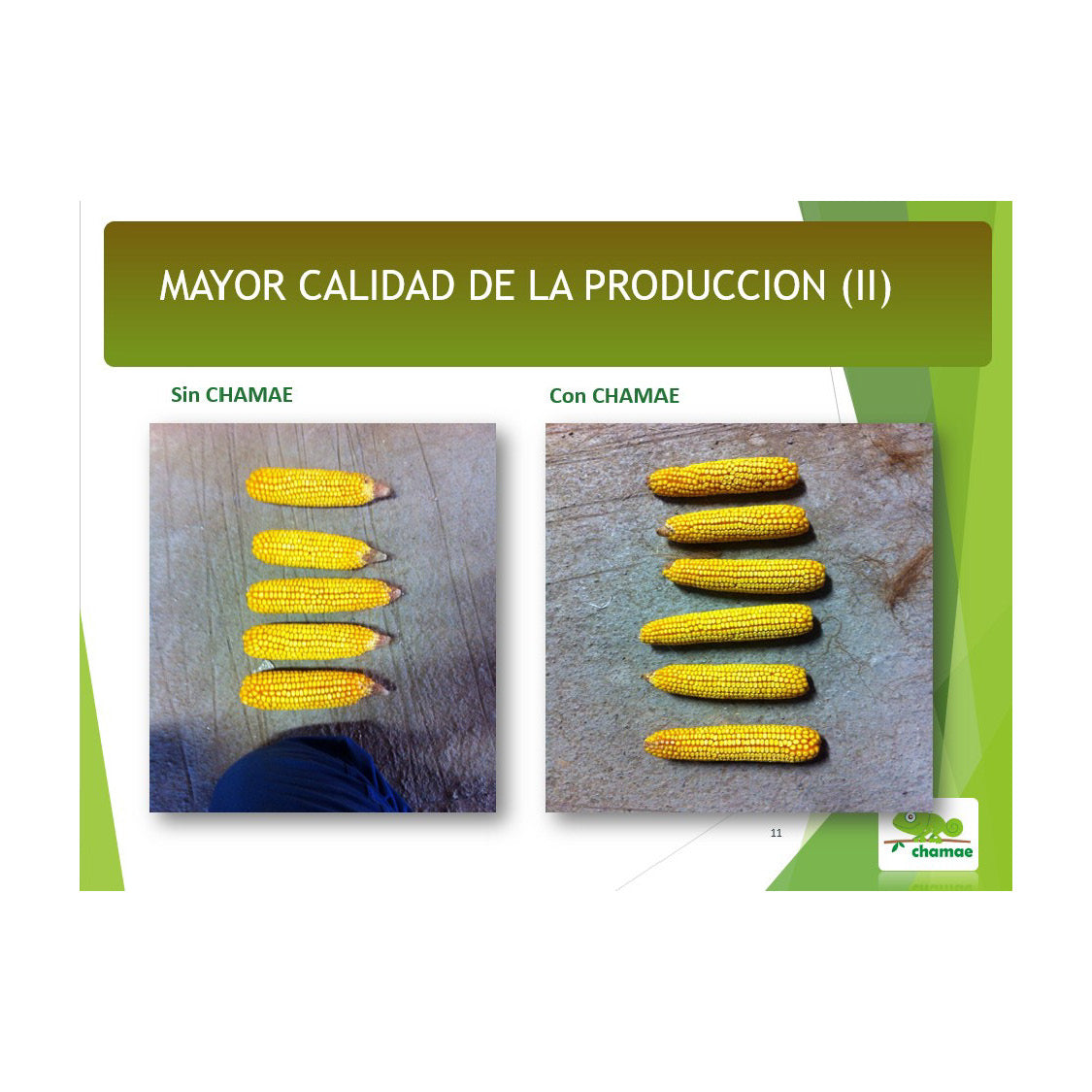 Fertilizante Chamae + Fúlvicos Ecológico 1.000 Litros. Uso Profesional_2