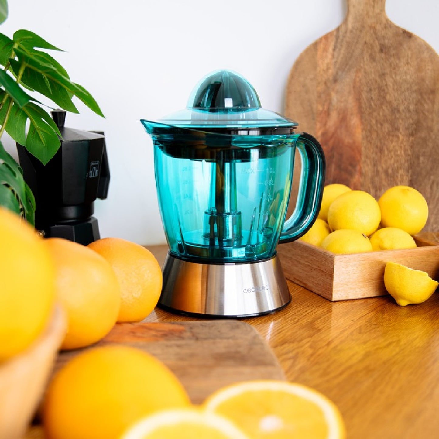 Exprimidor Eléctrico Para Naranjas Y Cítricos Zitra Steel. 40 W Y Filtro De Plástico, 2 Conos De Plástico, Doble Sentido De Giro, Encendido Automáti_2