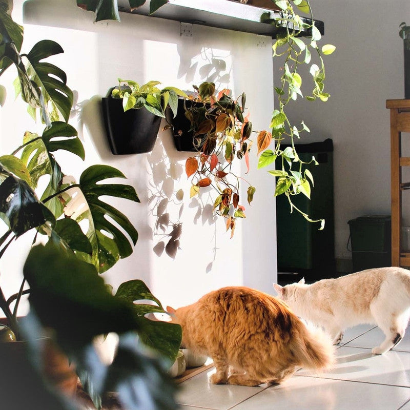 Jardín Vertical Modular Citysens Con Riego Manual De 3 Maceteros – Negro, Polipropileno 100% Reciclado_1