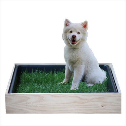 Petground, Cama Para Perros, Caja De Madera, Accesorio, Mueble, Xxl_0