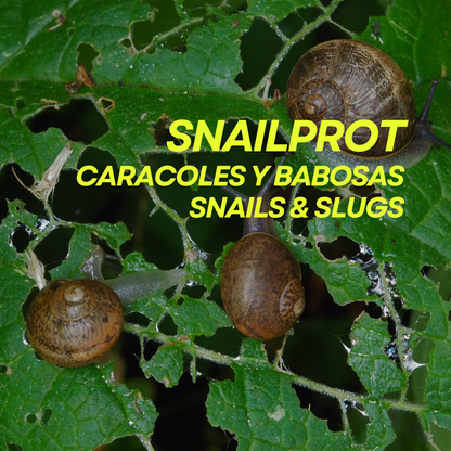 Anticaracoles ecológico contra caracoles y babosas Snailprot Prot-Eco (100 ml)+pipeta dosificadora 5 ml gratis_1
