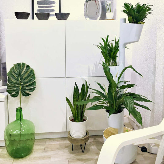 Macetero Vertical Citysens Con Riego Inteligente De 3 Macetas – Blanco, Polipropileno 100% Reciclado_0