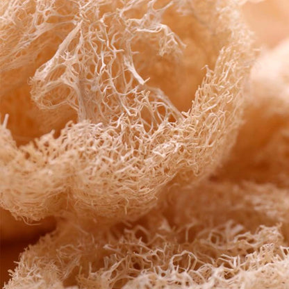 Esponja Natural Vegetal De Luffa Ovalada - Limpieza Y Exfoliación - Activa La Circulación - Cultivada Y Hecha En Galicia_3
