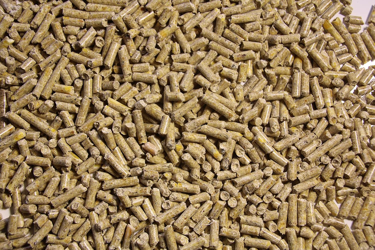 Pienso ECOLÓGICO para Lechones 20kg Alimentación Natural y Equilibrada. Nutrición Completa para un Crecimiento Saludable_1