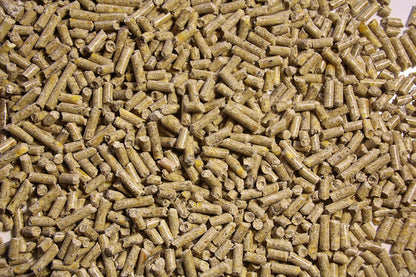Pienso ECOLÓGICO para Lechones 20kg Alimentación Natural y Equilibrada. Nutrición Completa para un Crecimiento Saludable_1