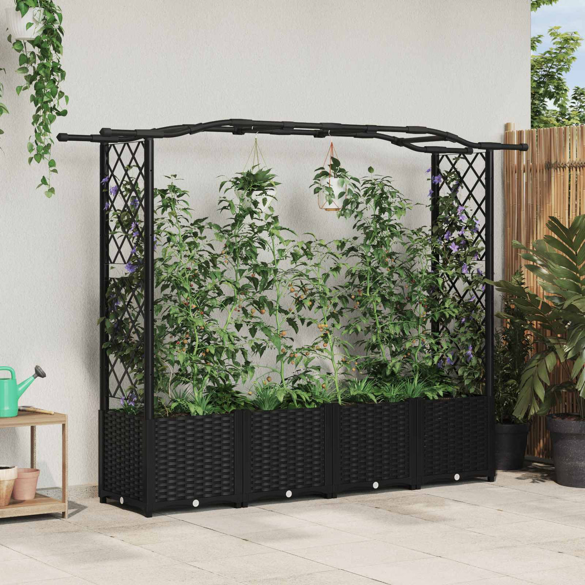 Cama Elevada Con Trellis Y Techo Negro 204 X 40 X 138 Cm Pp_1