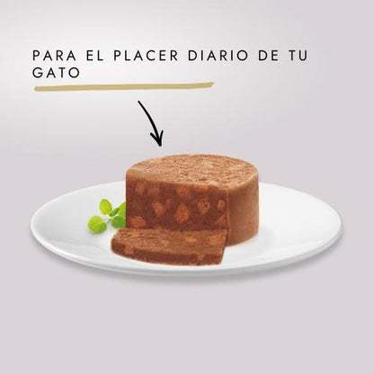 Embalagem de 24 x GOURMET GOLD Comp Salmon Tub Alimento húmido 85g