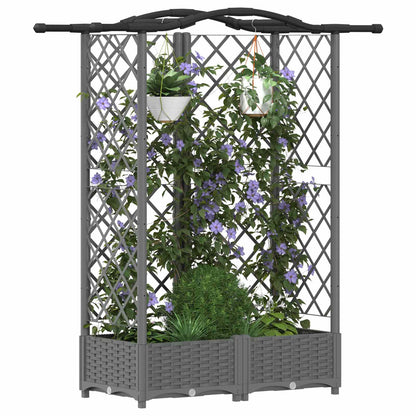 Cama Elevada Con Trellis Y Techo Gris Claro 124 X 40 X 123 Cm_2
