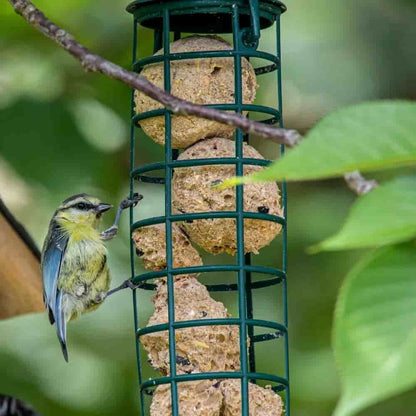 Comida Para Pájaros Silvestres, Bolas De Grasa Con Insectos, 100 X 90 Gramos Sin Red_2
