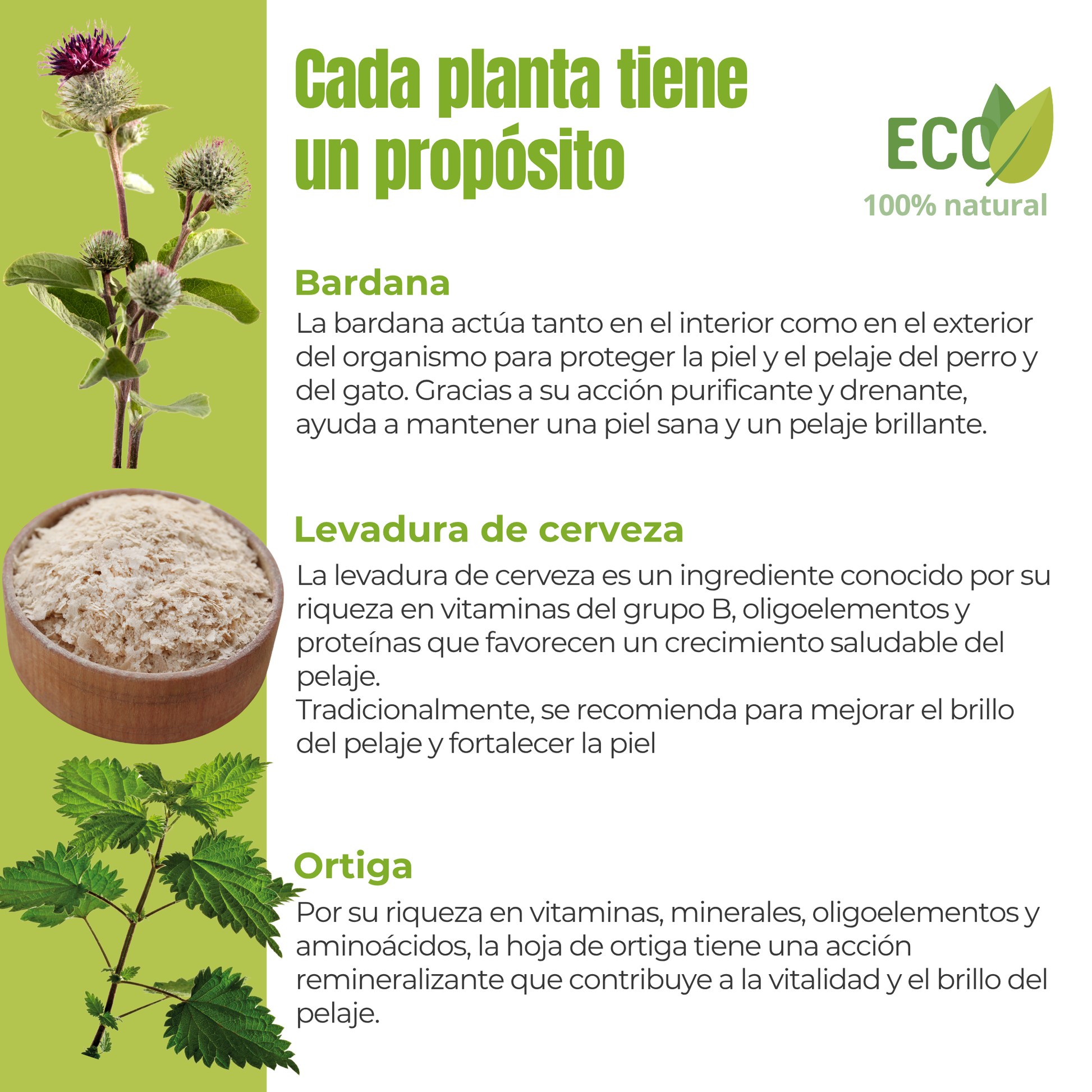 Suplemento natural para perros y gatos – Fórmula Brillo del Pelaje ECO 100 g