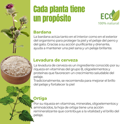 Suplemento natural para perros y gatos – Fórmula Brillo del Pelaje ECO 100 g