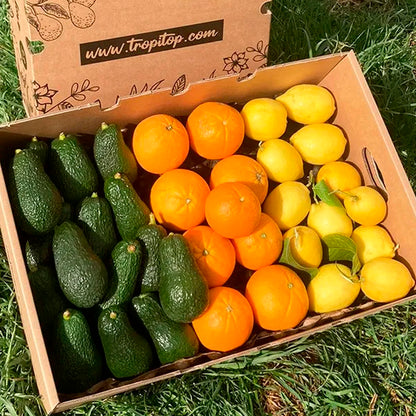 Caja 6kg Aguacates Hass, Naranjas Y Limones Directo Del Campo Tropitop (2kg De Cada Fruta)_1