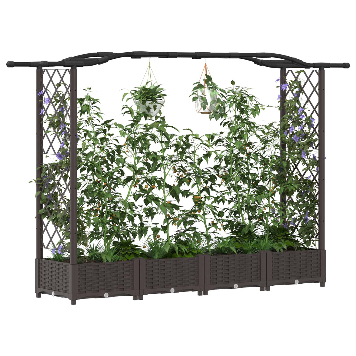 Cama Elevada Con Trellis Y Techo Marrón 207 X 40 X 123 Cm Pp_2