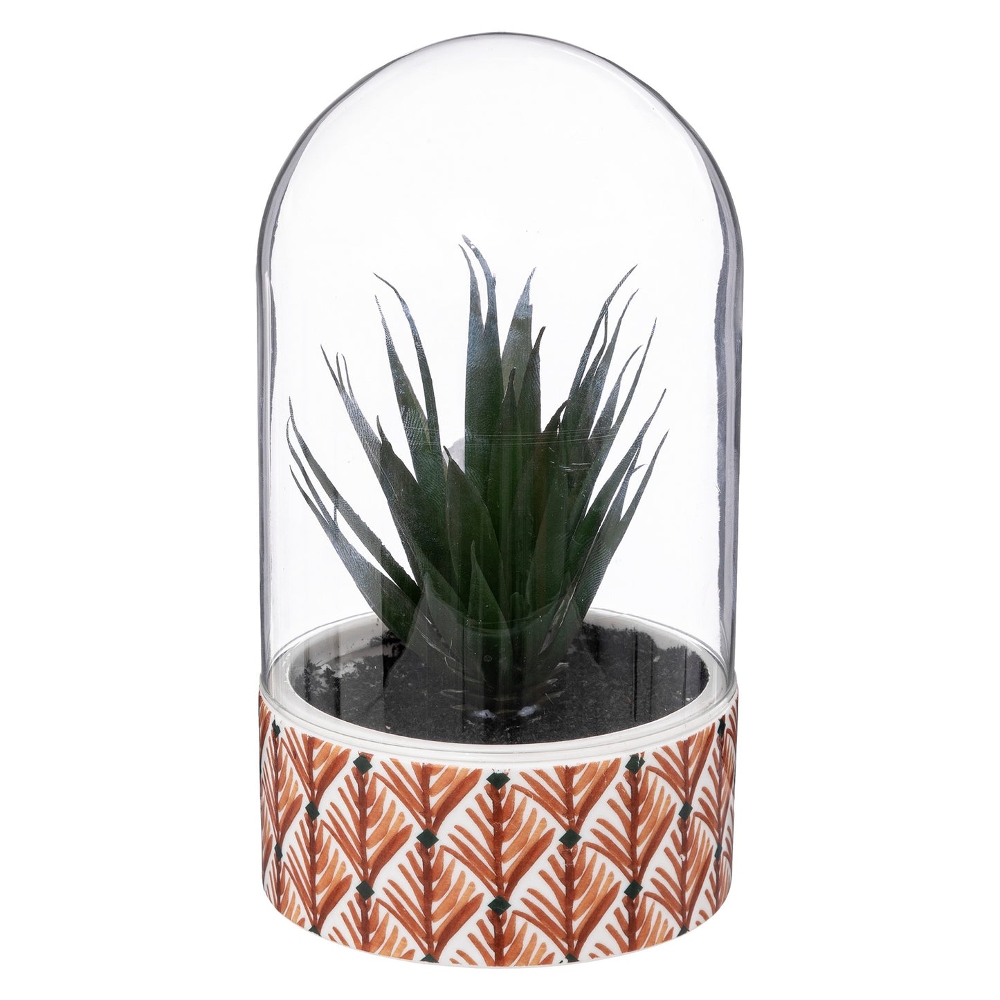 Planta ali Cloche H21cm