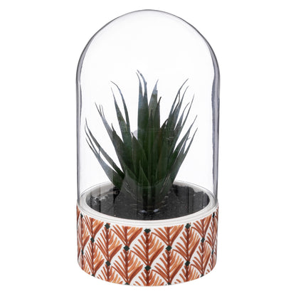 Planta ali Cloche H21cm