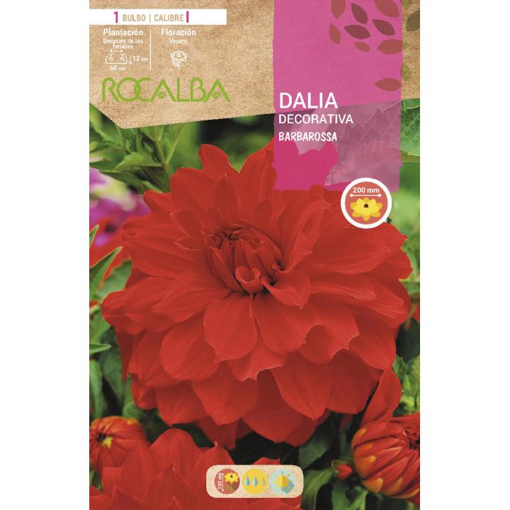 Bulbo decorativo Dália Veludo Vermelho 1 unidade Rocalba