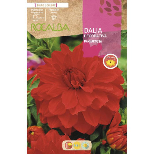 Bulbo decorativo Dália Veludo Vermelho 1 unidade Rocalba