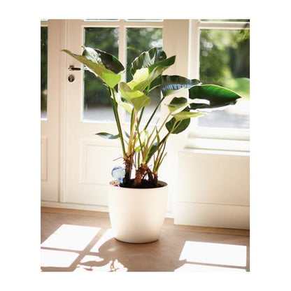 Elho Aqua Care Transparent