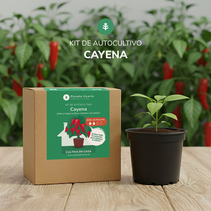 Kit de auto-cultivo de pimenta de Caiena Planeta Huerto