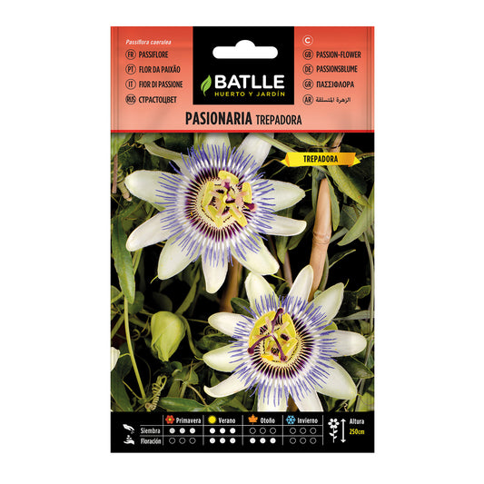 Sementes de passiflora trepadora