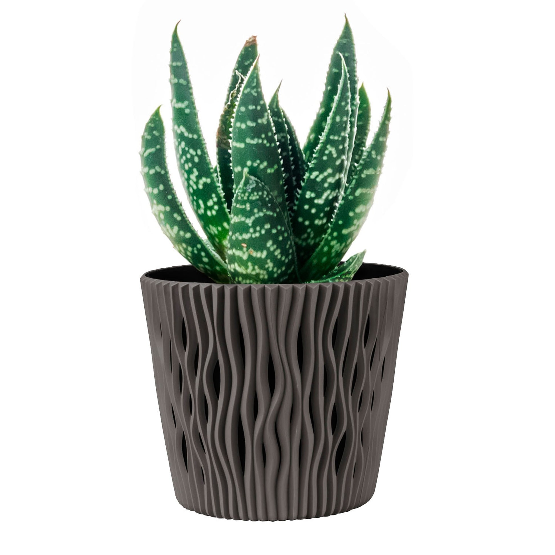 Maceta Redonda De Plastico Sandy Round En Color Antracita 15,8 (largo) X 15,8 (ancho) X 13,8 (alto) Cm_5