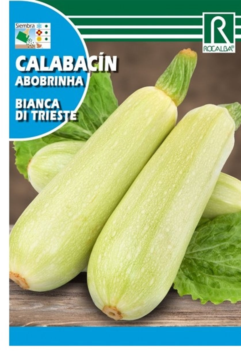 Semillas Calabacín Blanco Di Trieste 25g_0