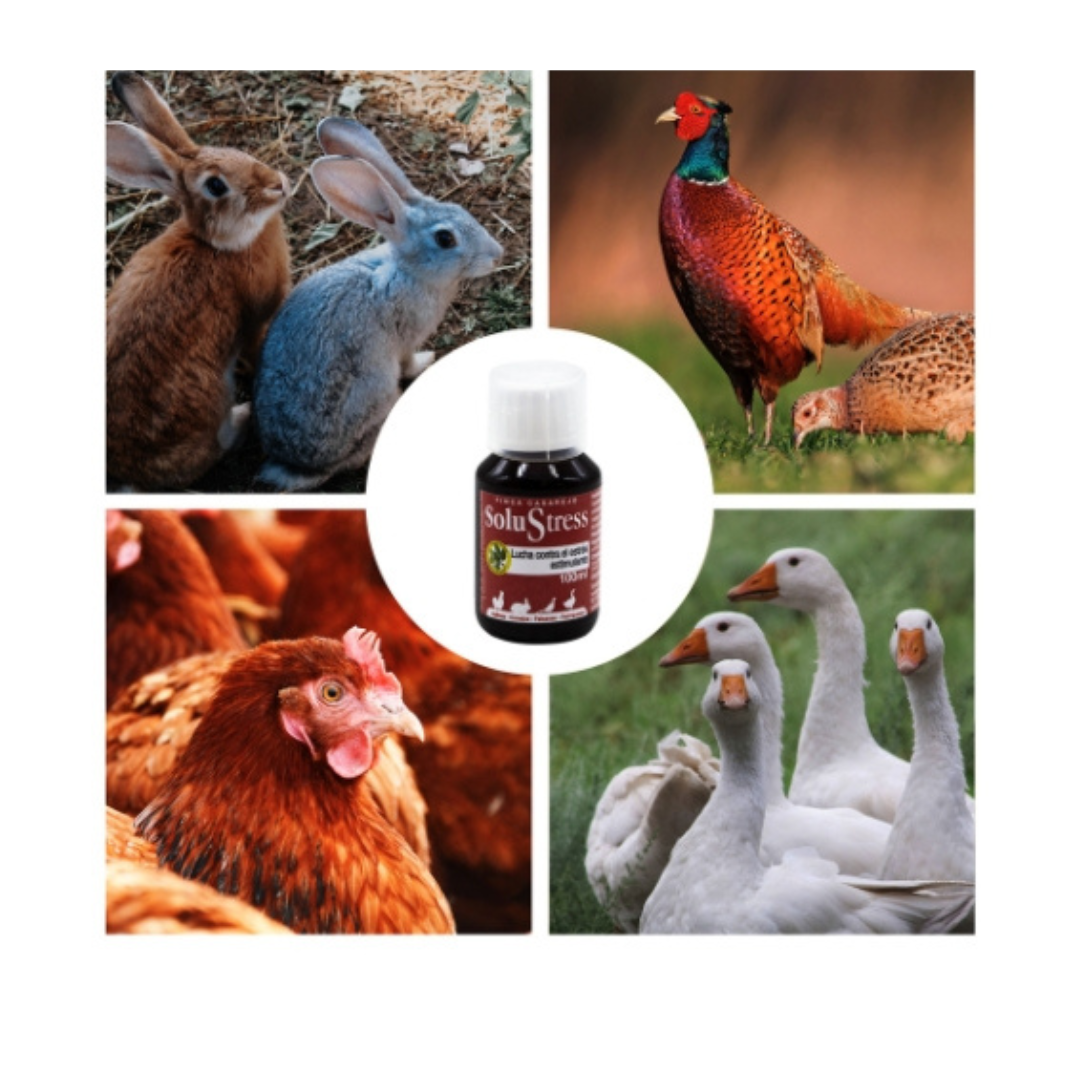 SoluStress - Apoyo nutricional a los animales después de viajes y otras situaciones de estrés - Producto 100 % natural_1