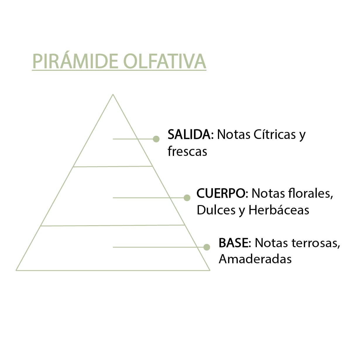 Esencia Aromática Aloe Vera 12 ml | Aroma Fresco y Natural | Perfume Concentrado | Uso en Difusores_5