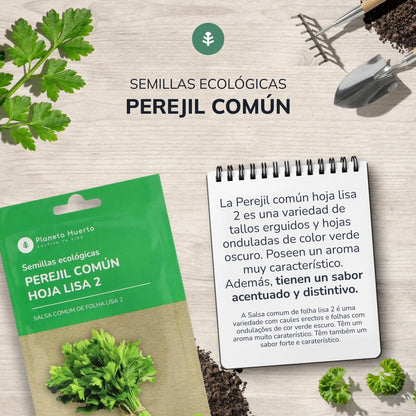 Sementes orgânicas de salsa comum de folhas lisas da Planeta Huerto