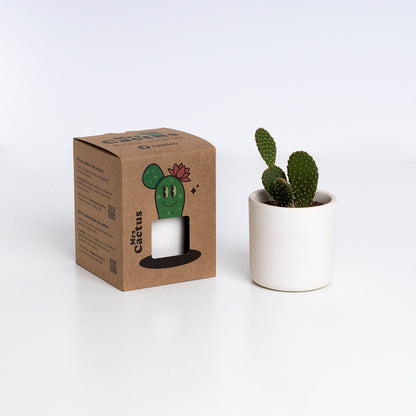 Macetero De Terracota Verde Helecho 13 Cm | Hecho A Mano Por Artesanos | Maceta Decorativa Para Plantas Interior_2
