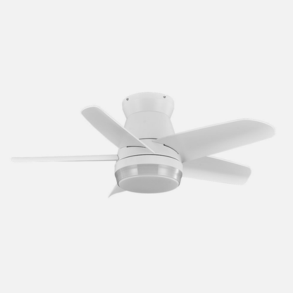 Ventilador Dc Neutron 24w 2400lm Blanc 5 Aspas 91d 3000k,4500k,6000k, Remoto+temporizador+memoria_1