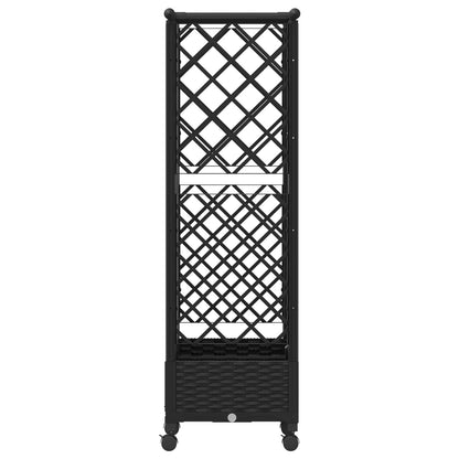 Cama Elevada Con Trellis Y Techo Negro 124 X 40 X 127 Cm Pp_3