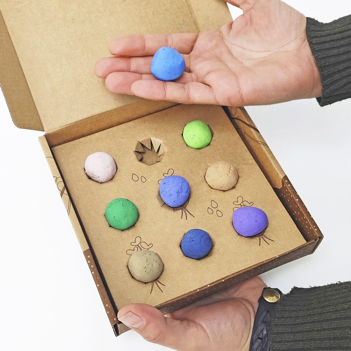 Bombas de Sementes Plantas Aromáticas