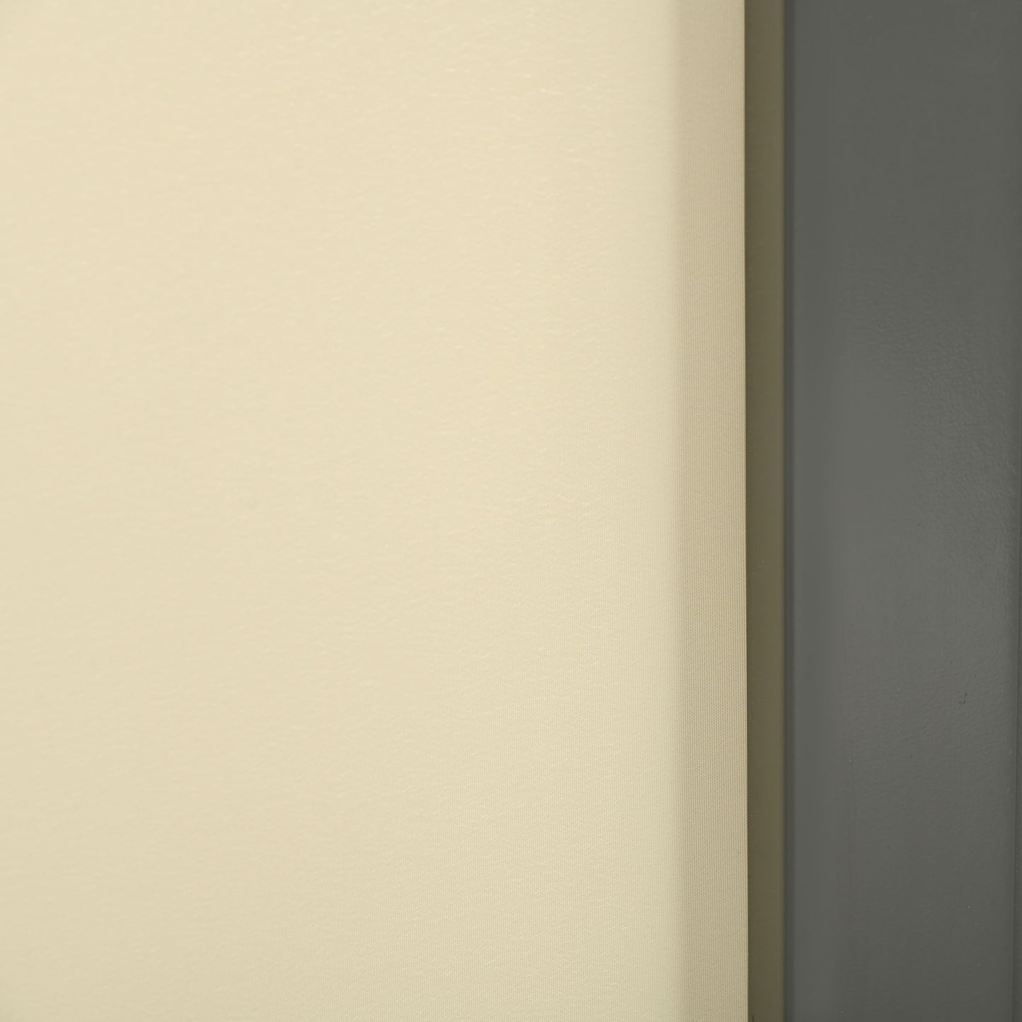 Outsunny Toldo Lateral Retráctil 300x160cm Pantalla Enrollable Para Jardín Crema_3