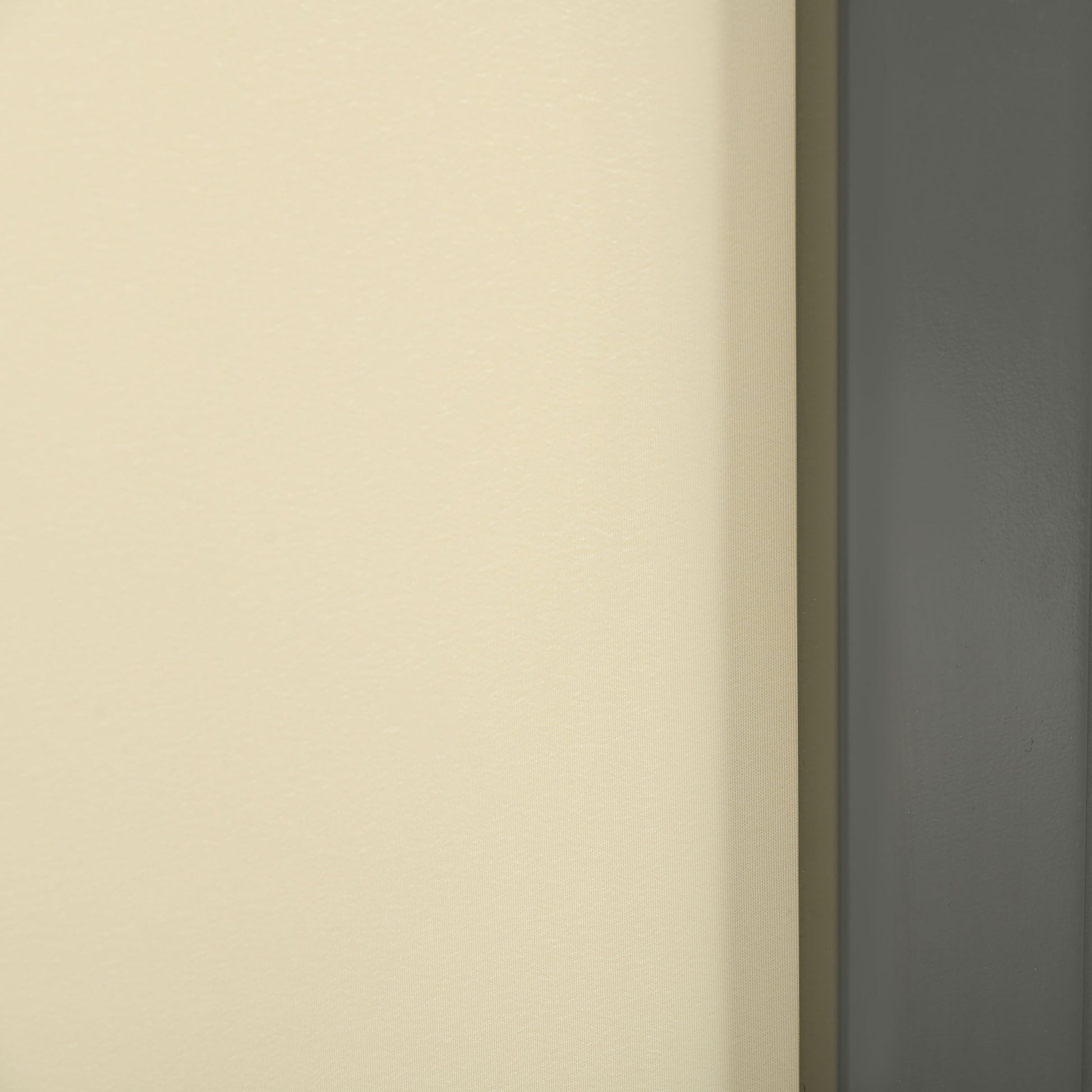 Outsunny Toldo Lateral Retráctil 300x160cm Pantalla Enrollable Para Jardín Crema_3