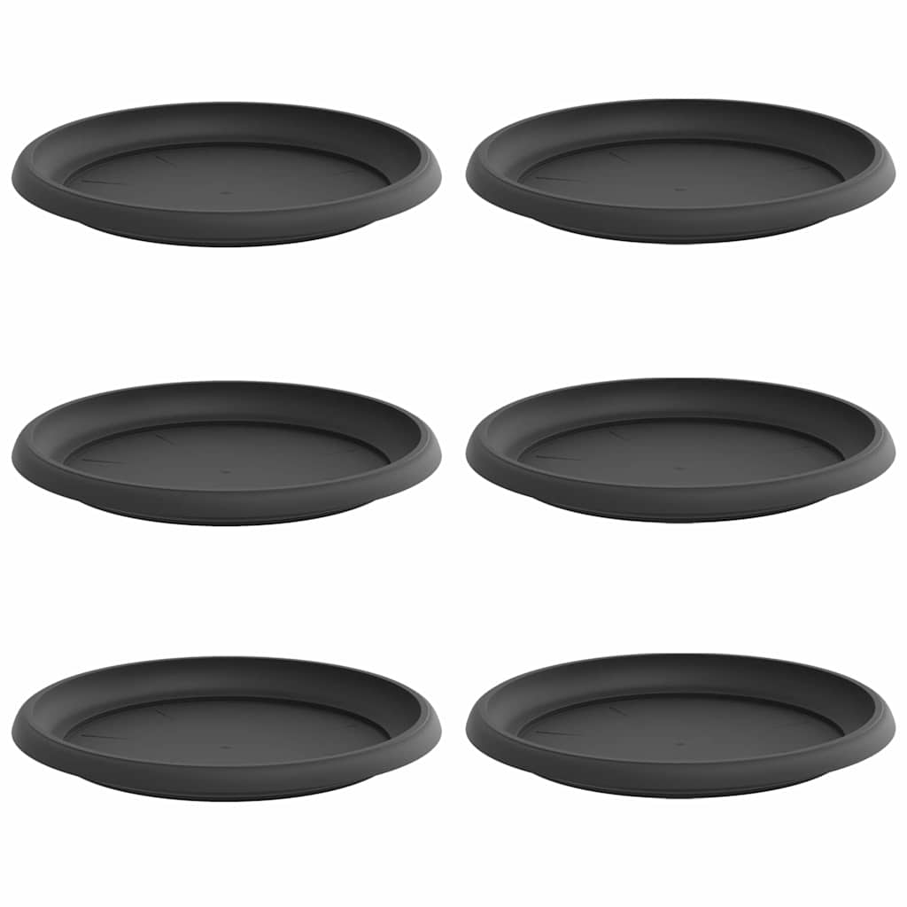 Bandeja Redonda Para Flores 6 Uds. Negro Ø 23,5 X 2,5 Cm_0