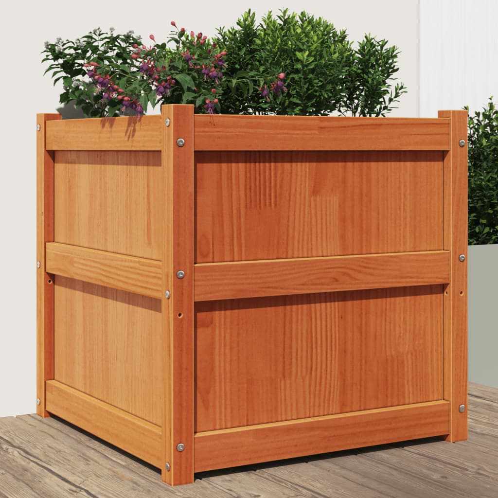 Jardinera Exterior Madera Maciza Pino Marrón Cera 60x60x60 Cm_1