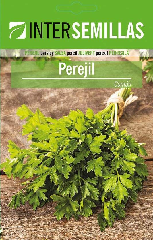 Sobre De Semillas De Perejil Comun_0