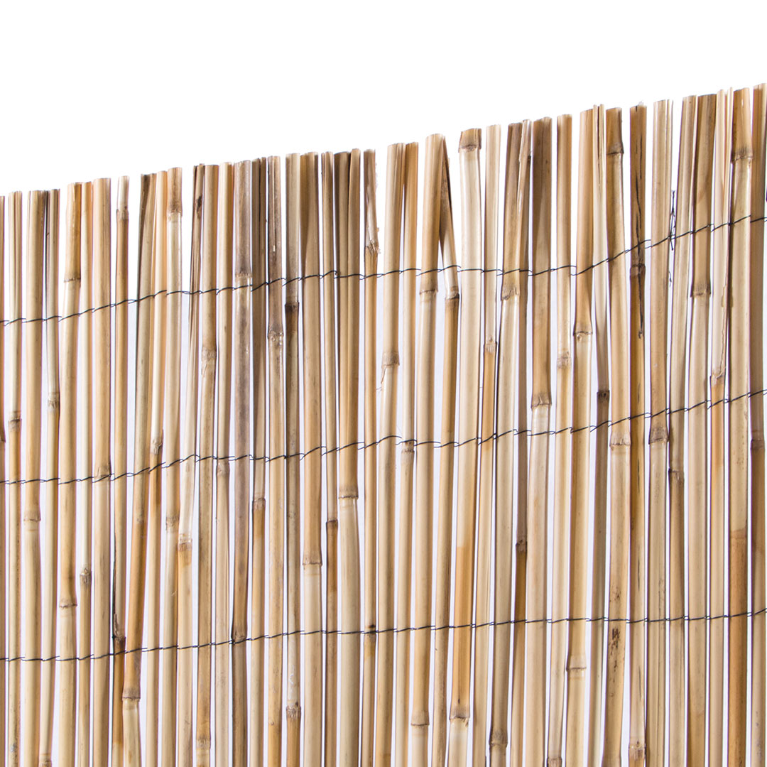 Cañizo Entero Varilla Media - Cañas Naturales Y Ecológicas - 1x5 M - Multicolor_1