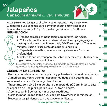 Kit de autocultivo Jalapeño Planeta Huerto