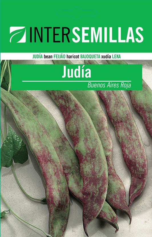 Sobre De Semillas De Judia Buenos Aires Roja_0