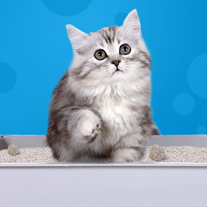 Areia aglomerante de bentonite para gatos Nobleza 6 L sem odor 