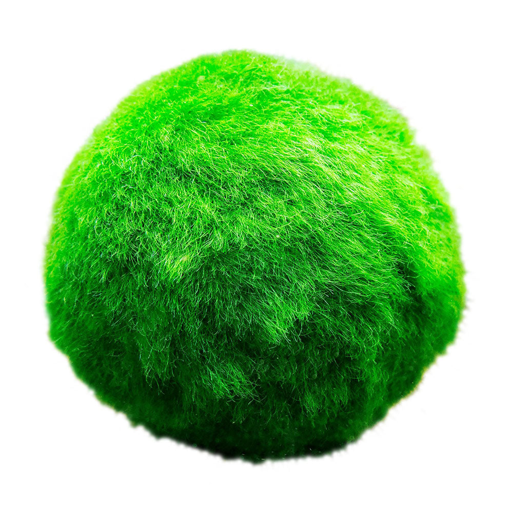 Bolas De Musgo Marimo - 5 Unidades - Cladophora Aegagropila - 3 Cm_0