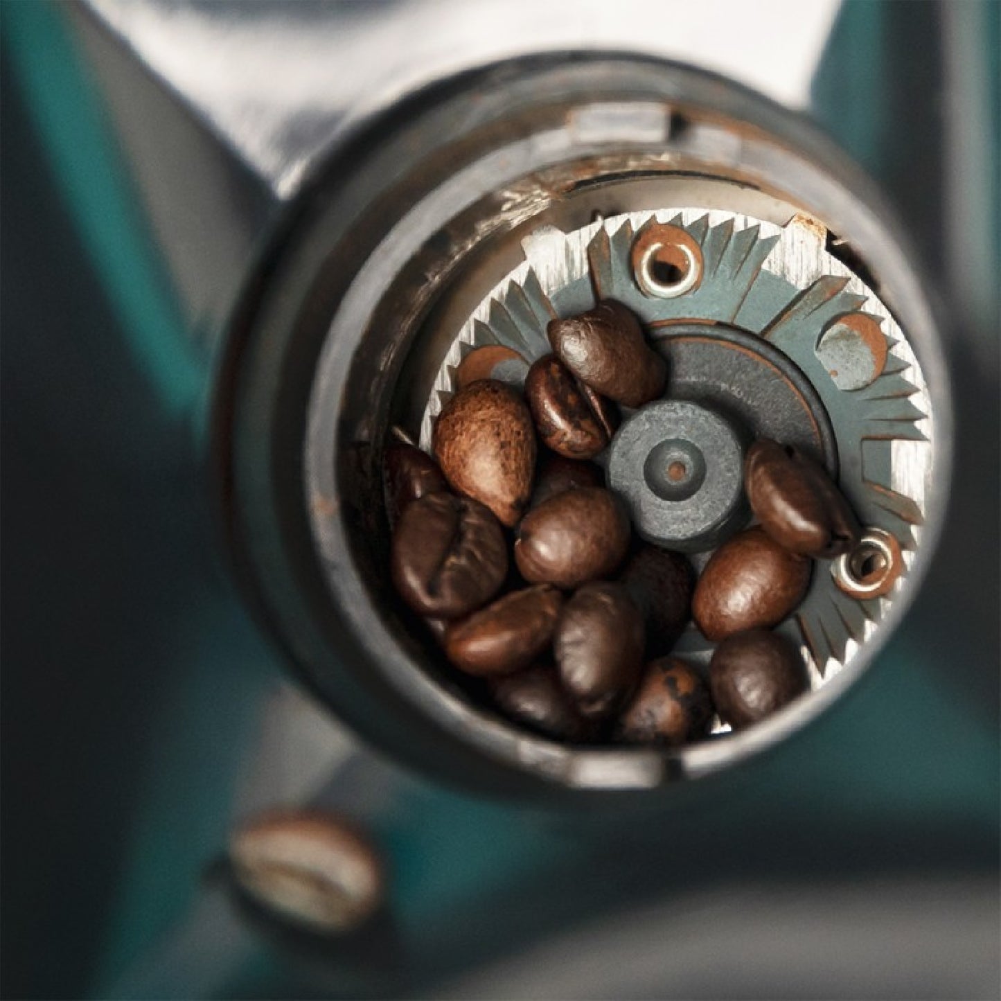 Cecotec Molinillo De Café Steelmill 2000 Adjust_2
