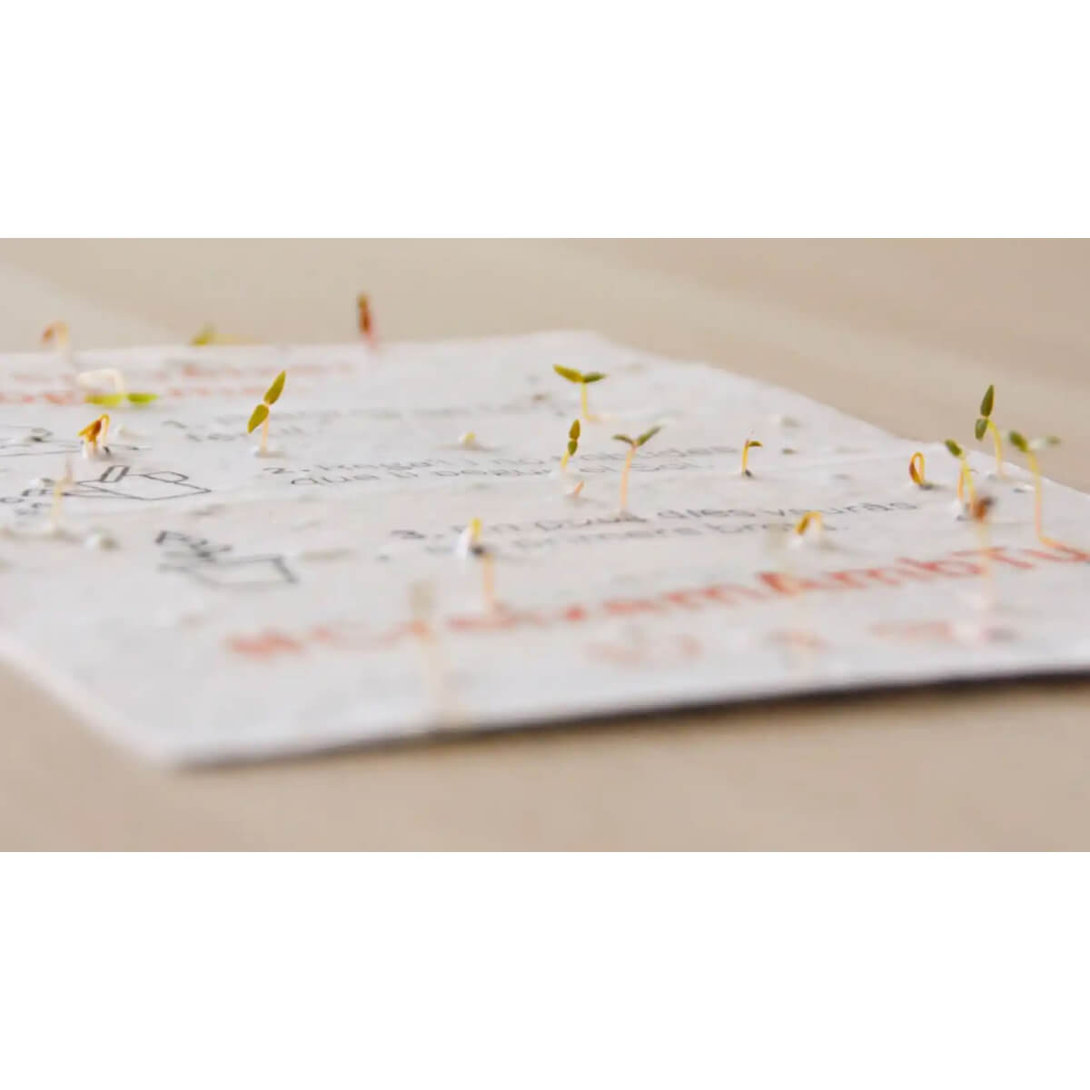 Calendário Plantável 2026 Planet Garden Transforme o tempo em natureza