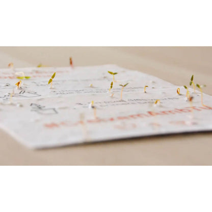 Calendário Plantável 2026 Planet Garden Transforme o tempo em natureza