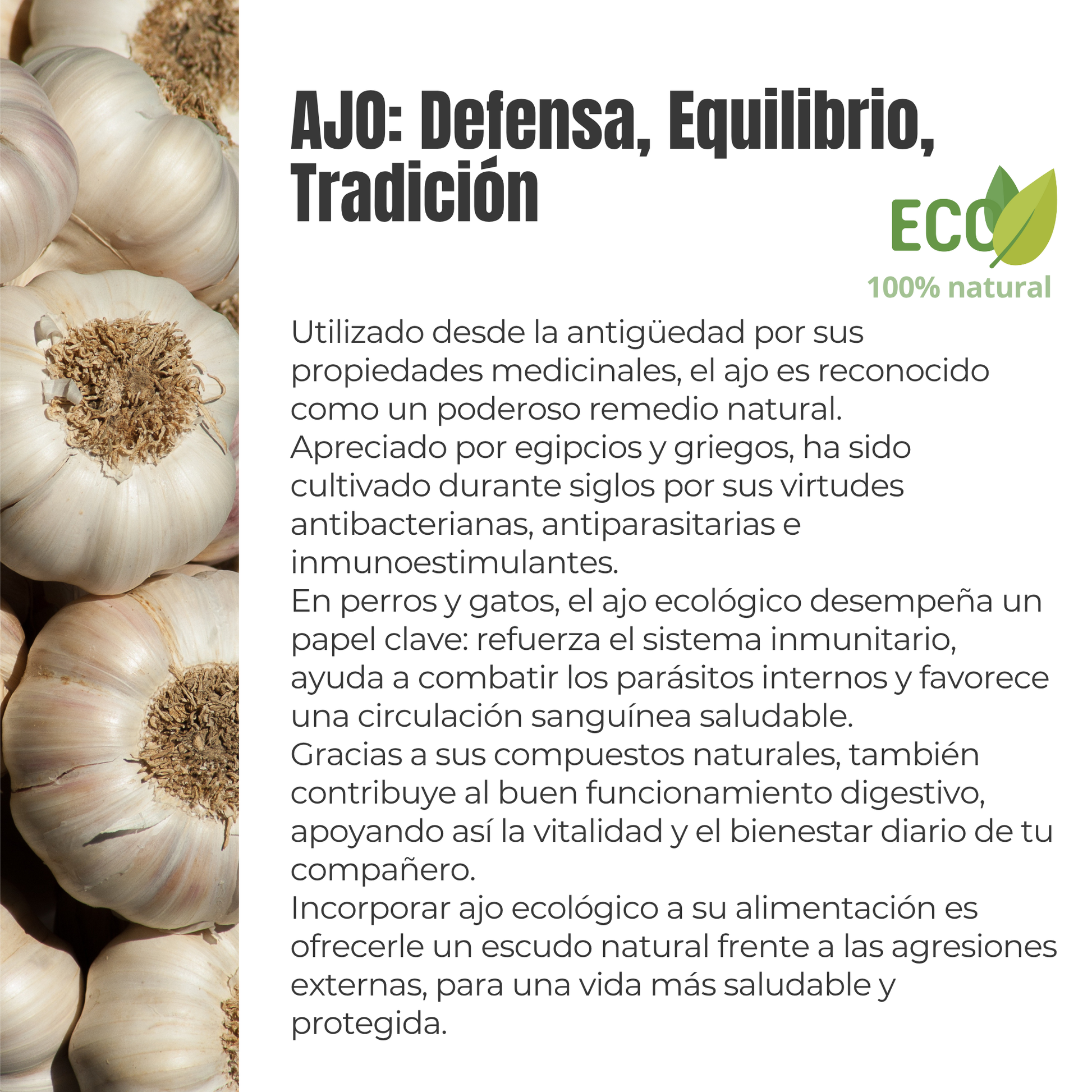 Suplemento natural para perros y gatos - Ajo ecológico - 100g_2