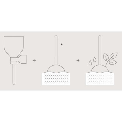 Sobremesas de sementes de chupa-chupa de jardim